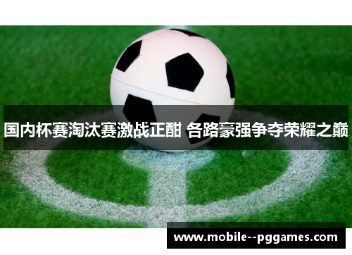 国内杯赛淘汰赛激战正酣 各路豪强争夺荣耀之巅