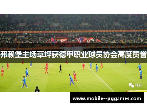 弗赖堡主场草坪获德甲职业球员协会高度赞誉 弗赖堡主场草坪获德甲职业球员协会高度赞誉