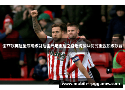 谢菲联英超垫底降级背后困局与重建之路老牌球队何时重返顶级联赛